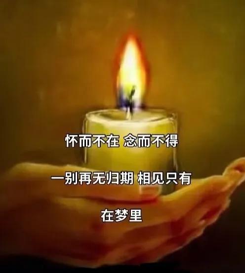 生命的敬畏从何而来,生命的敬畏图片