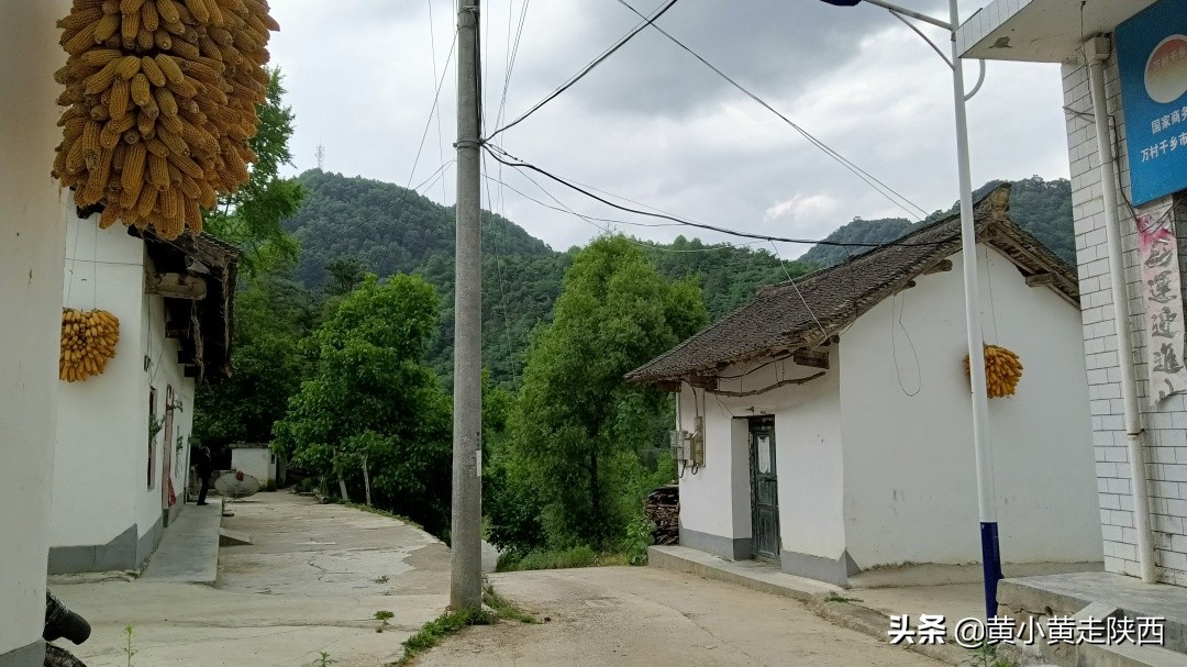 西安秦岭沣峪口夏季避暑去处,西安秦岭沣峪口附近哪里凉快