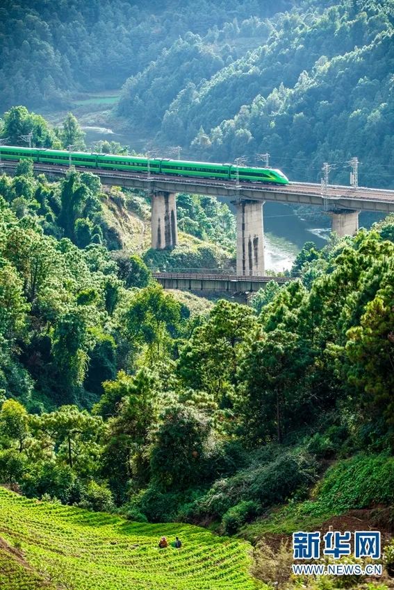 开通抖音一百天,中老铁路开通100天成绩很亮眼