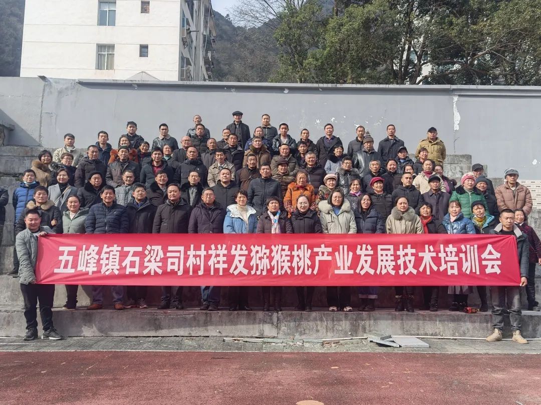 五峰：【乡村振兴】“猕”生情缘，家门口的致富经！