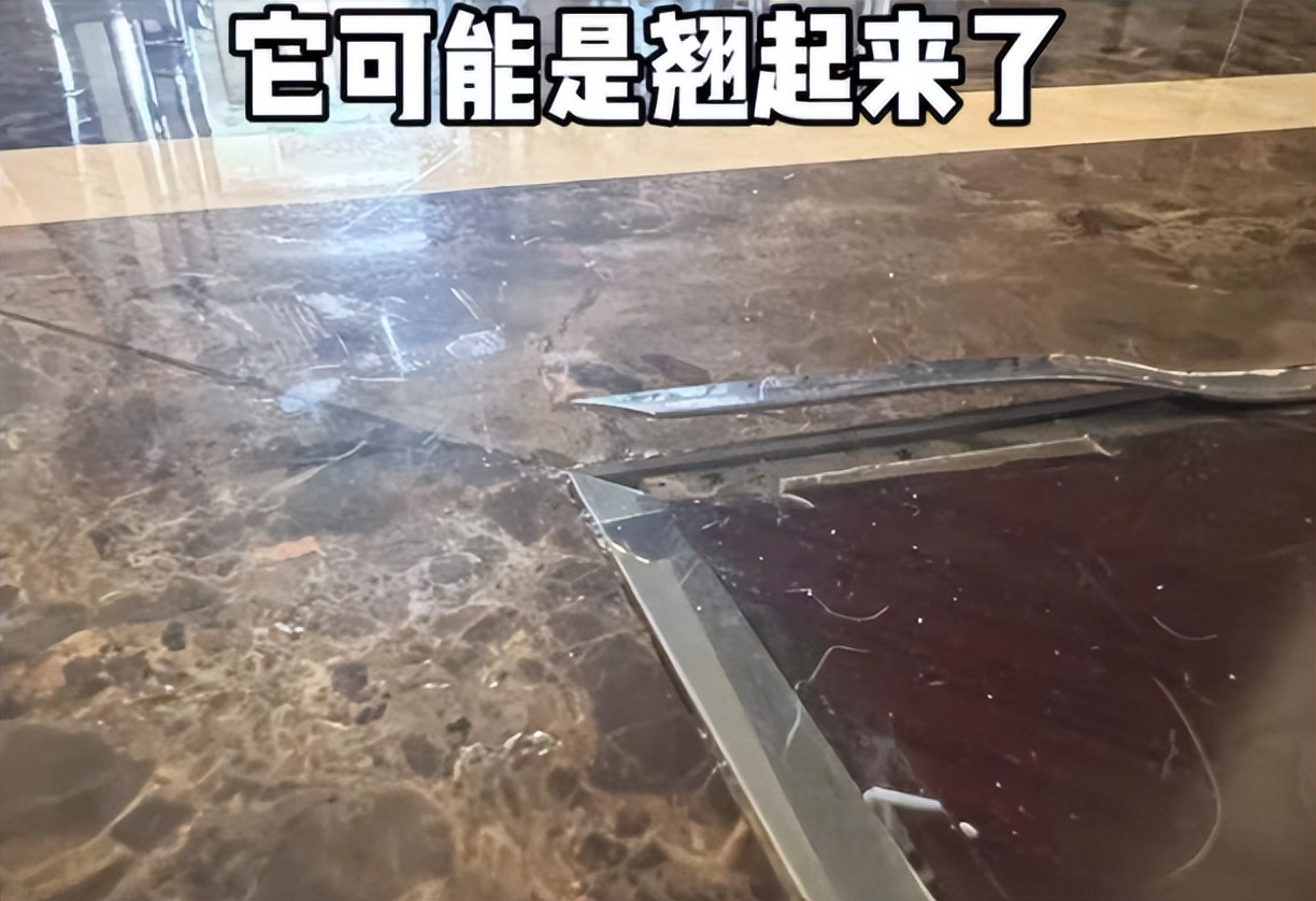 前央视主持突发意外！脚被这种金属条穿透鲜血直流！很多家里装了