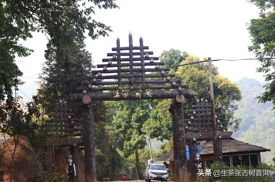 云南南糯山古茶第一村,普洱茶全球第一村南糯山