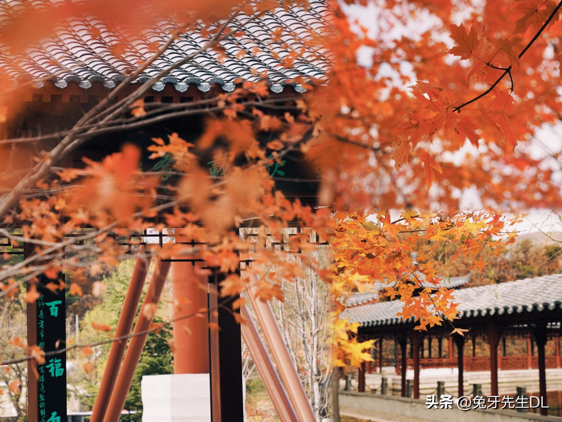 超级喜欢吃米饭,东芝电饭煲rc-10hpc测评