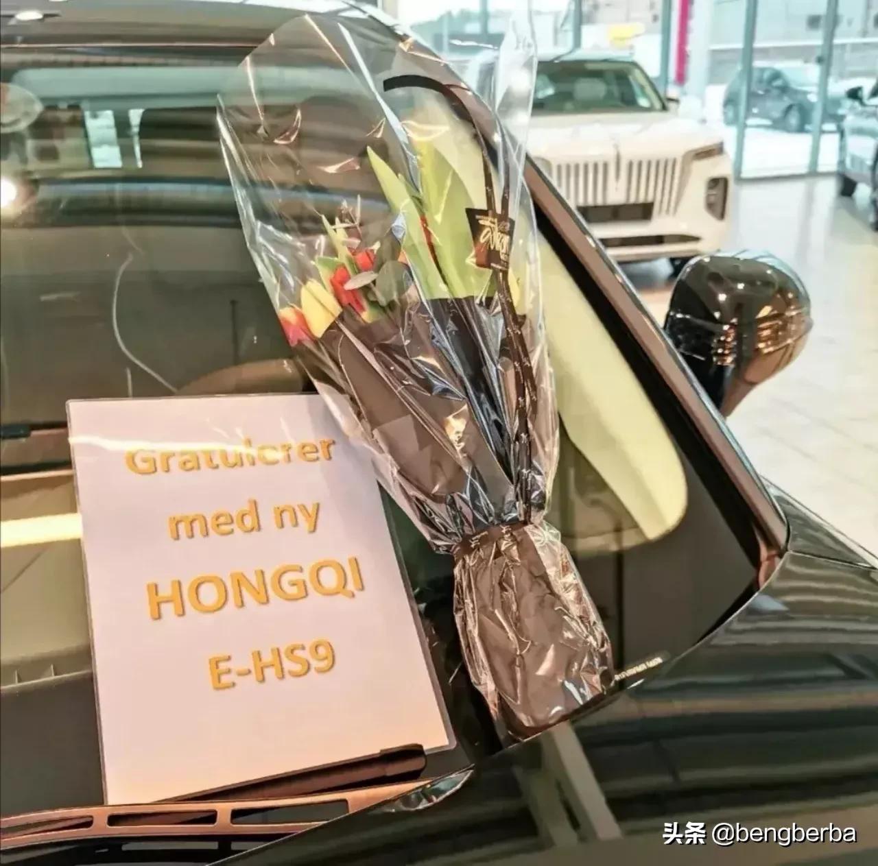 2022新款红旗e-hs9燃油版五座,红旗hs9出口多少钱