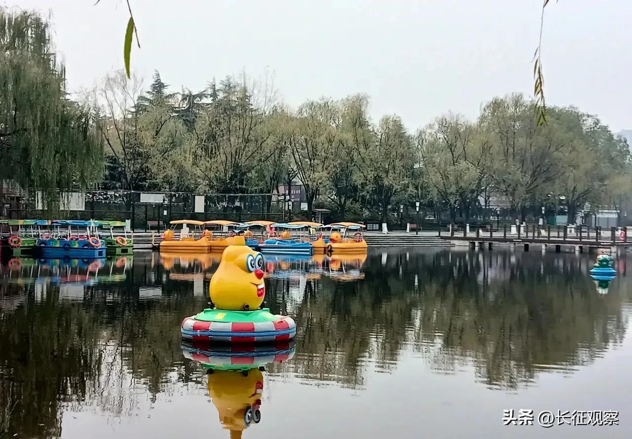 西安“四区联动”效果初现，刘国中强调继续加大措施力度