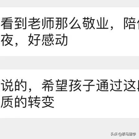 中央财经大学保险学院国际本科,中央财经大学保险学院3+1国际本科