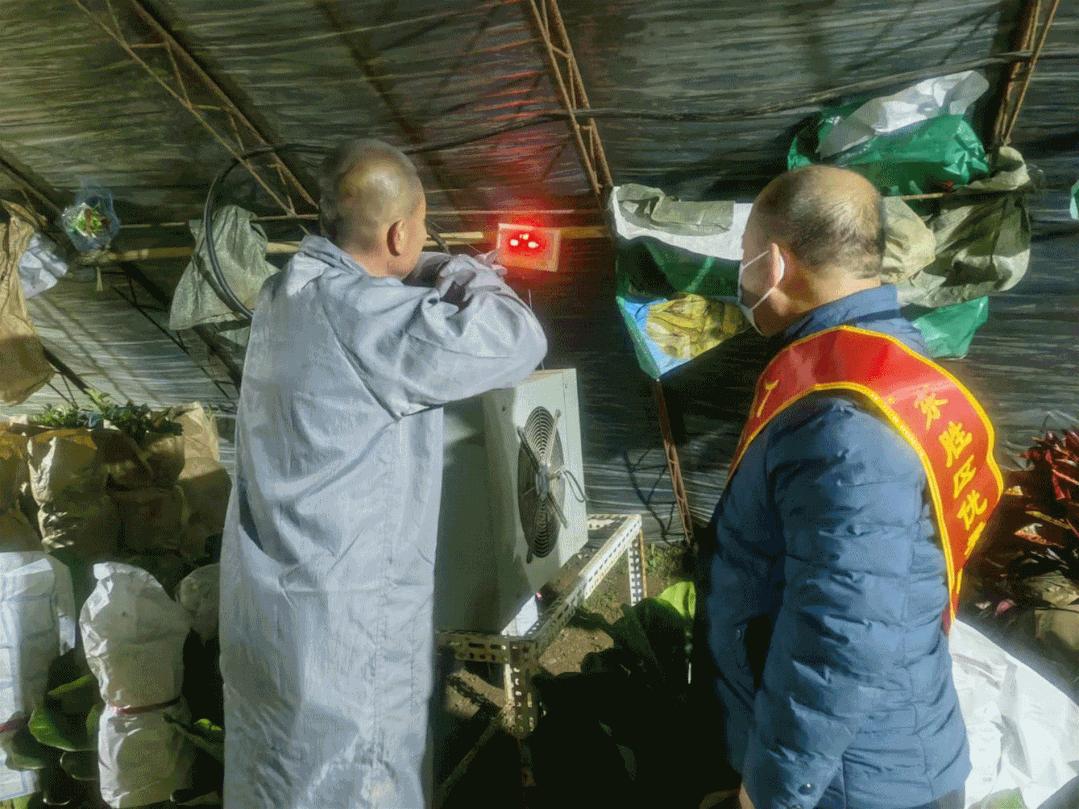 北方冬天，餐桌上的蔬菜水果与这些气象人有关！