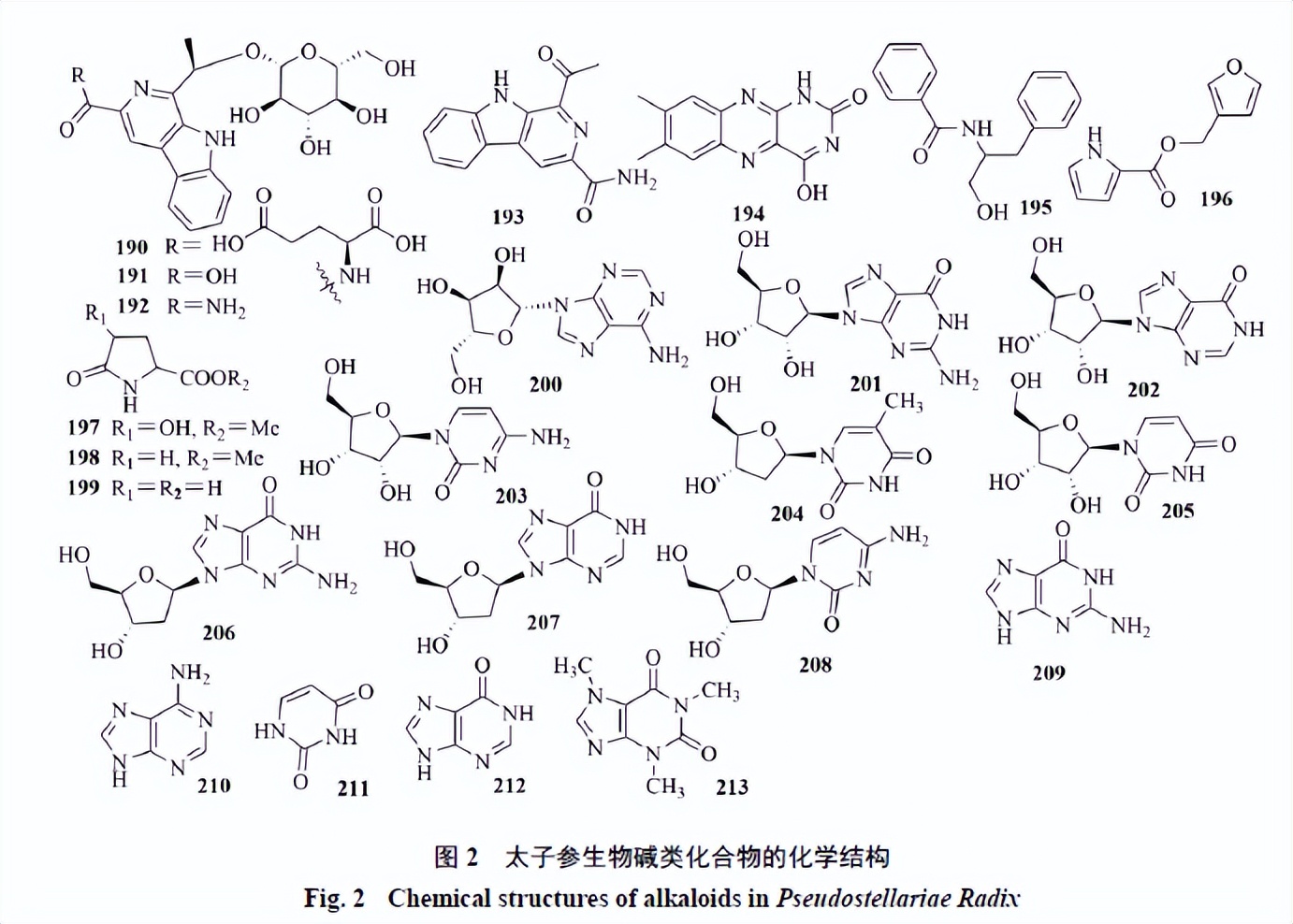 太子参的化学成分、药理作用和应用进展