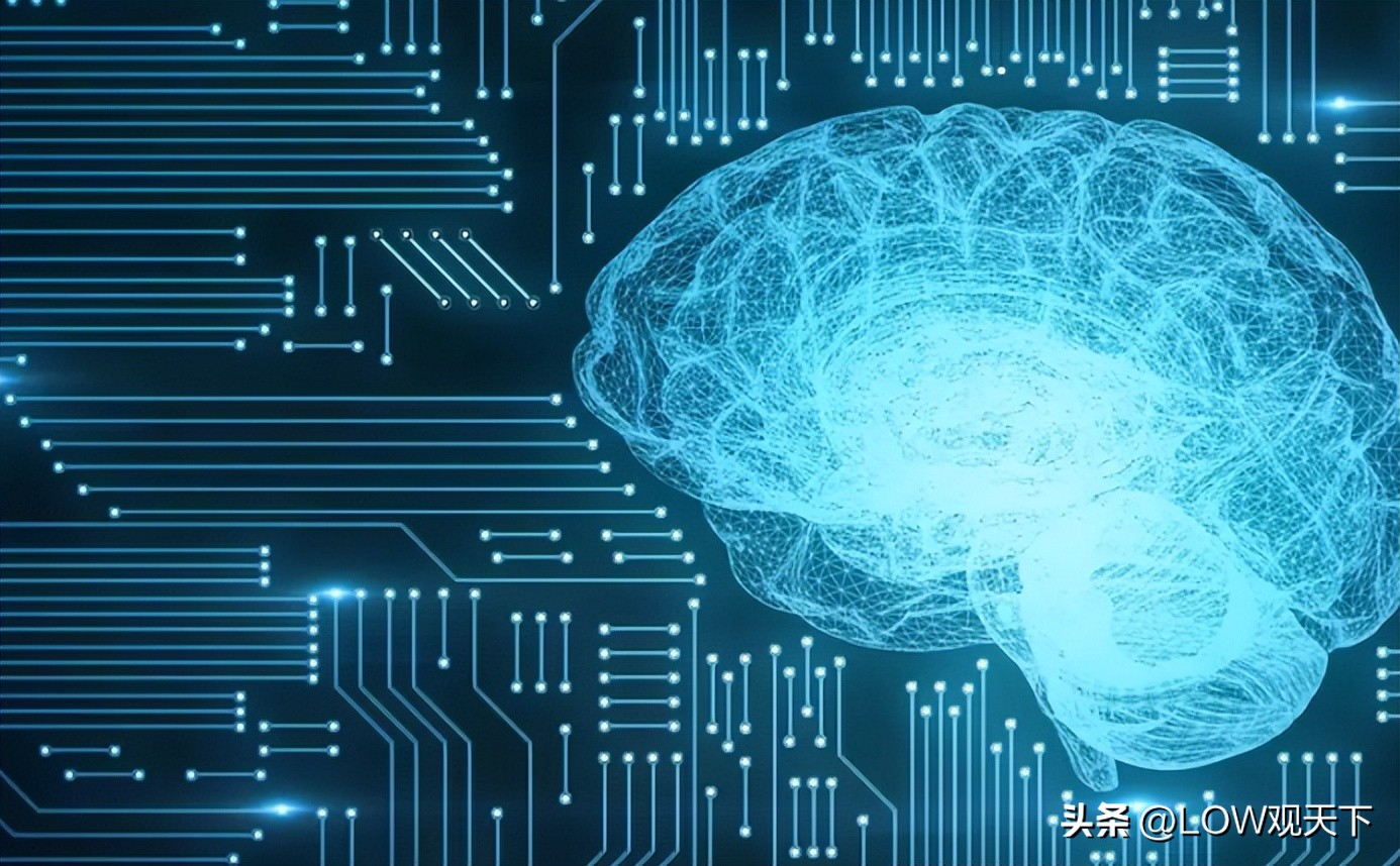 大脑中的神经元多意味着什么,大脑神经元的作用是什么