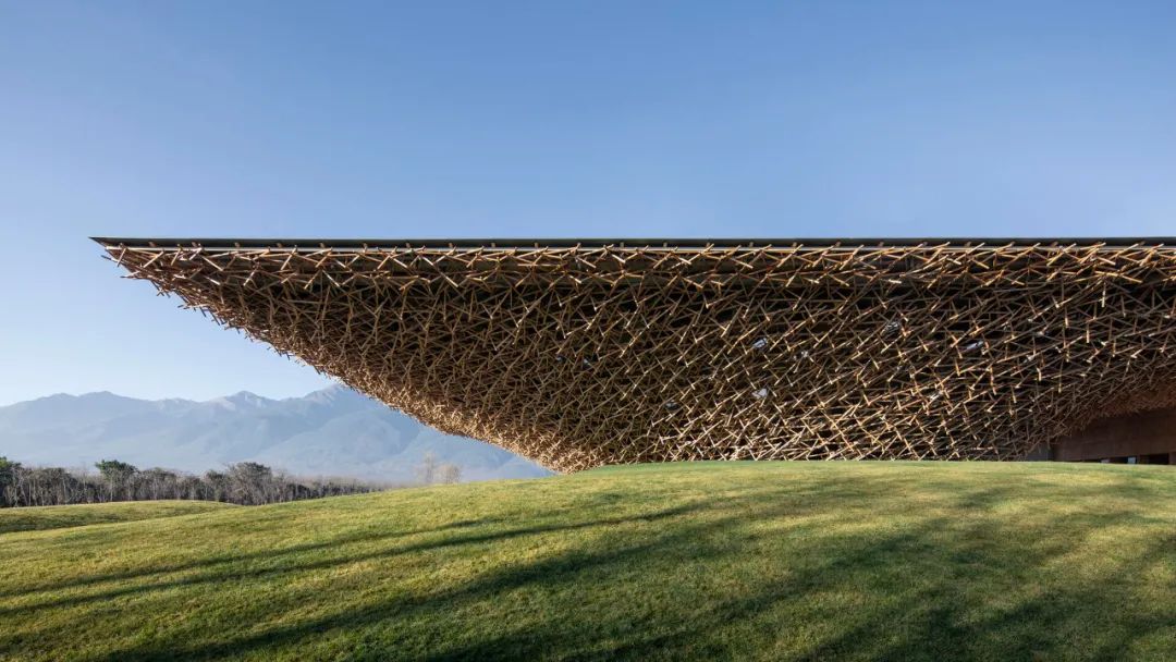 上海市白玉兰荣誉奖,上海白玉兰荣誉奖2020