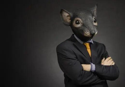 公募基金老鼠仓案例,富国基金老鼠仓