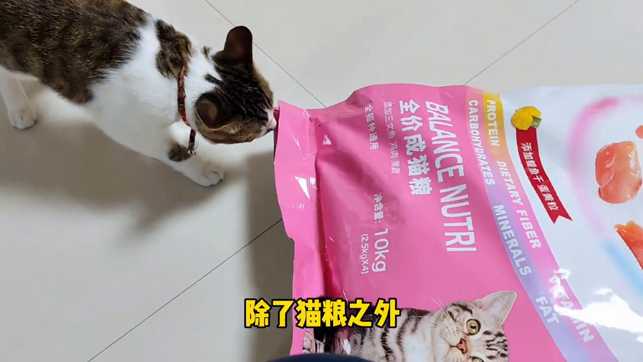 麦富迪营养森林含肉量,麦富迪营养森林和黑森林