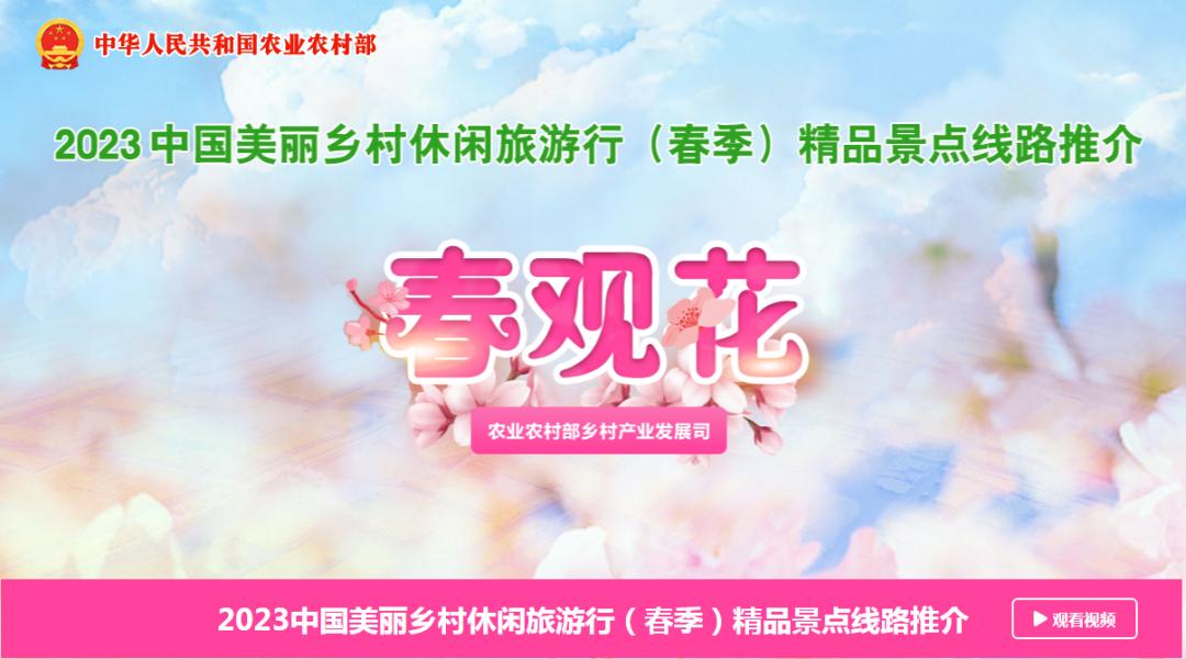 重庆合川十大旅游景区,合川旅游项目人气推荐