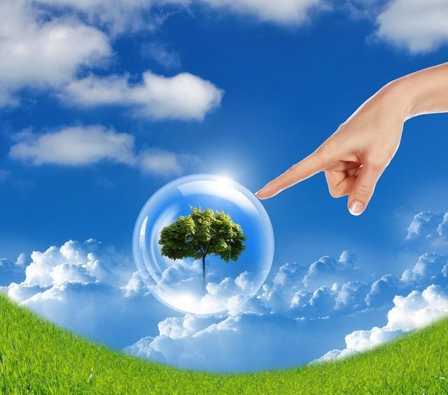 面包夹知识,面包夹心冷知识