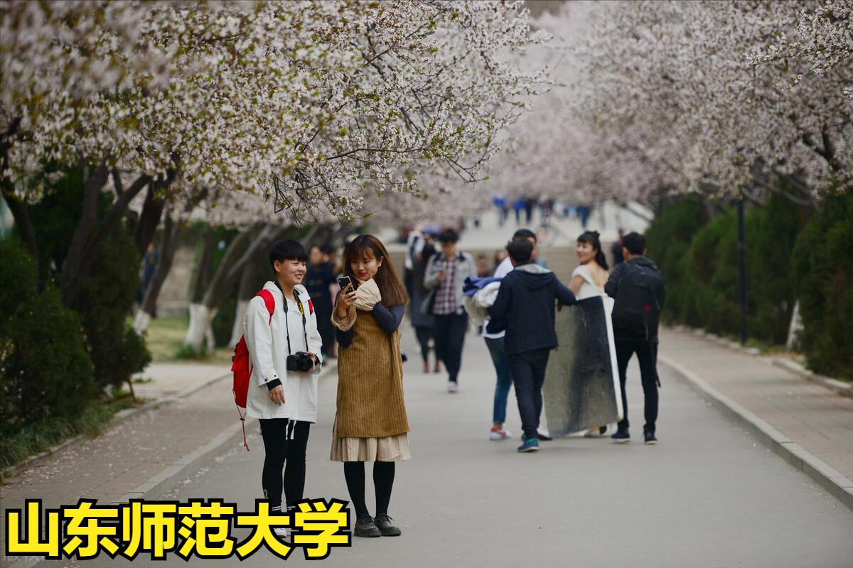 山东综合素质评价填无可以吗,山东综合素质评价生何时录取