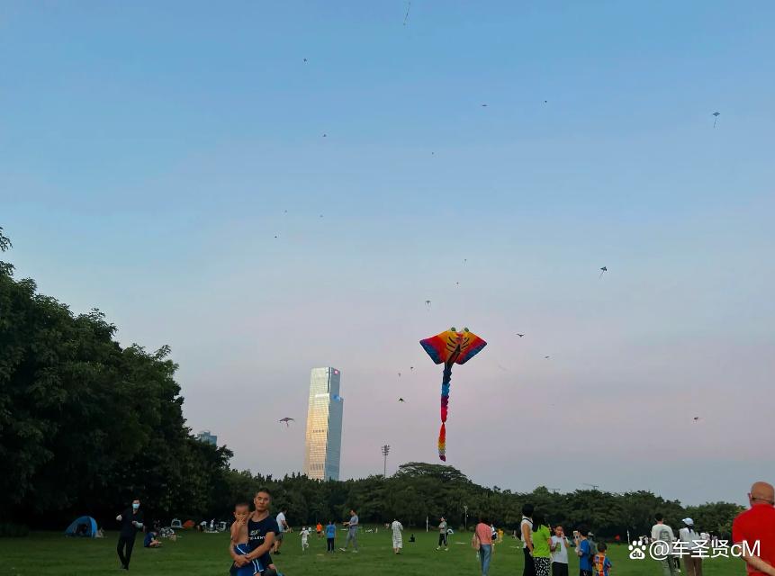 深圳莲花山公园风景,深圳人气最旺的公园