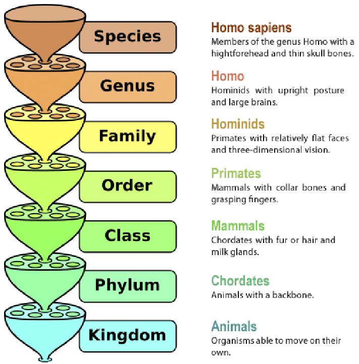 生物学是什么时候开始学习,生物学研究生就业前景如何