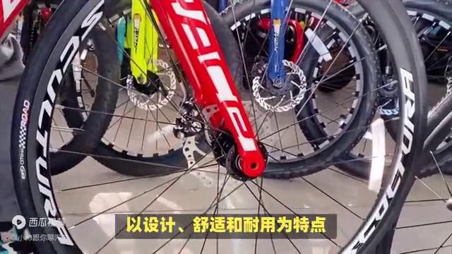 2023年公路自行车哪个牌子好