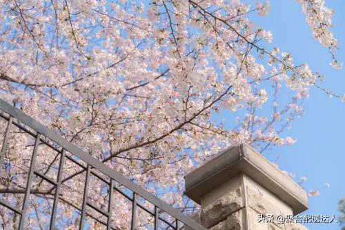 校园跑腿的弊端,高校校园跑腿小程序