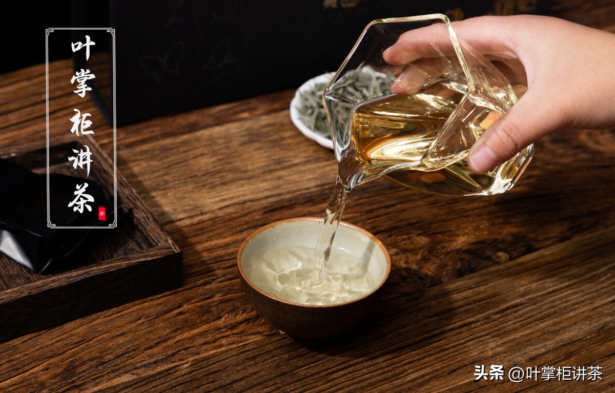 白毫银针出自哪里,白毫银针是什么茶树产的