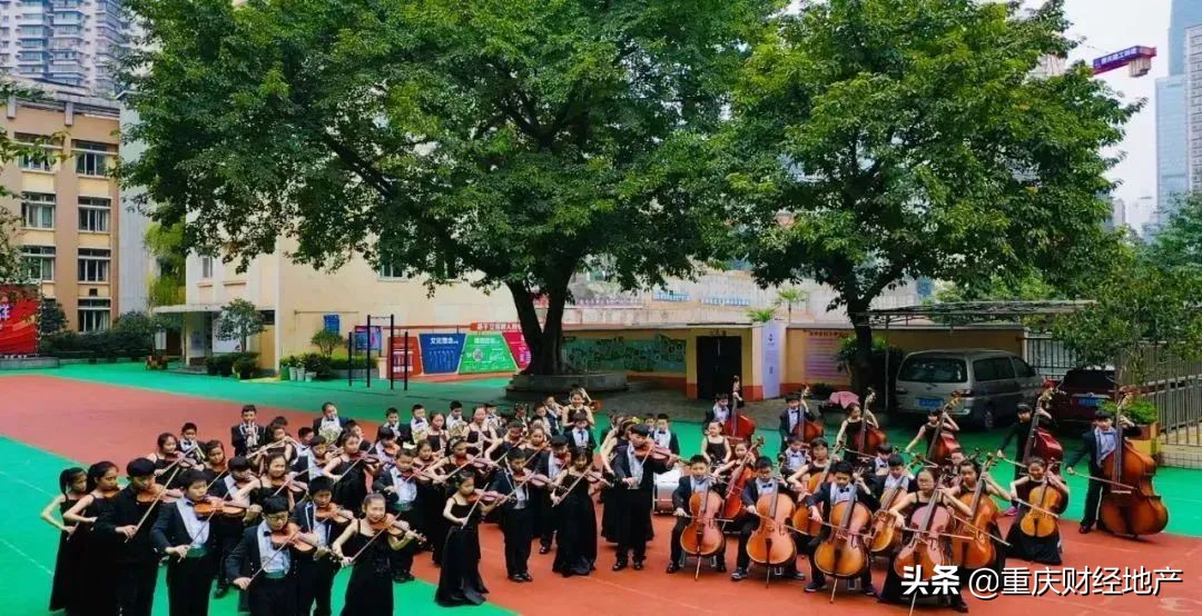 渝中区和沙坪坝哪个教育好,重庆渝中和渝北哪个好