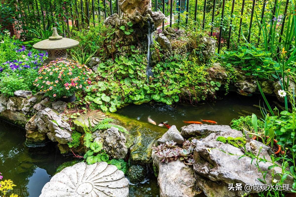 鱼池水面有气泡和发臭怎样解决,鱼池水质恶化如何处理