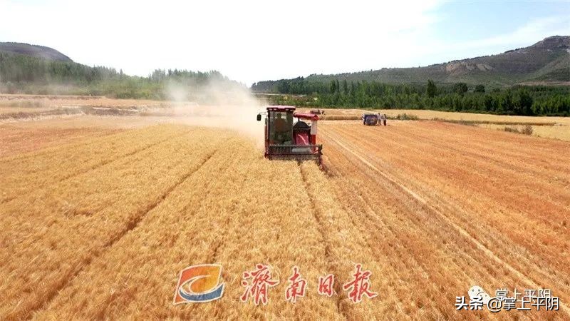 党建赋能产旅融合发展简介,党建产业链发展成果共享