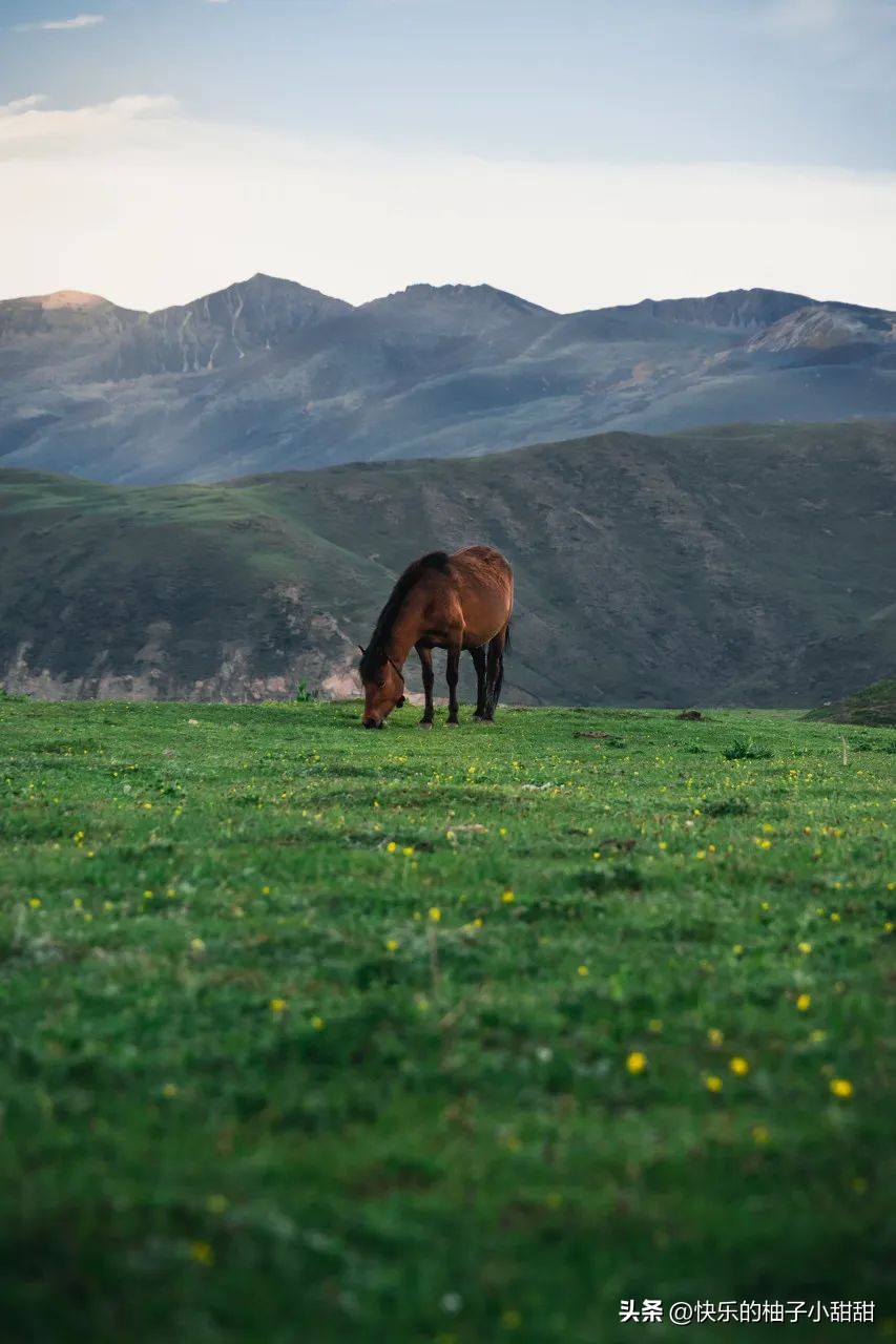 中国最值得一去的秘境,中国最值得一探的旅游秘境