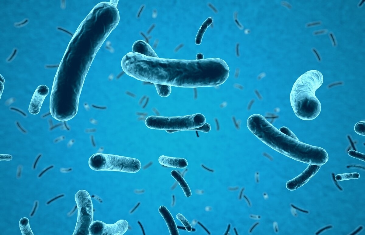 口服阿莫西林需要做皮试吗,口服阿莫西林不做皮试可以用吗