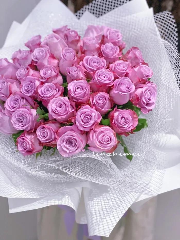 求婚送什么颜色的玫瑰花比较合适,玫瑰花的外形特点和颜色的特点