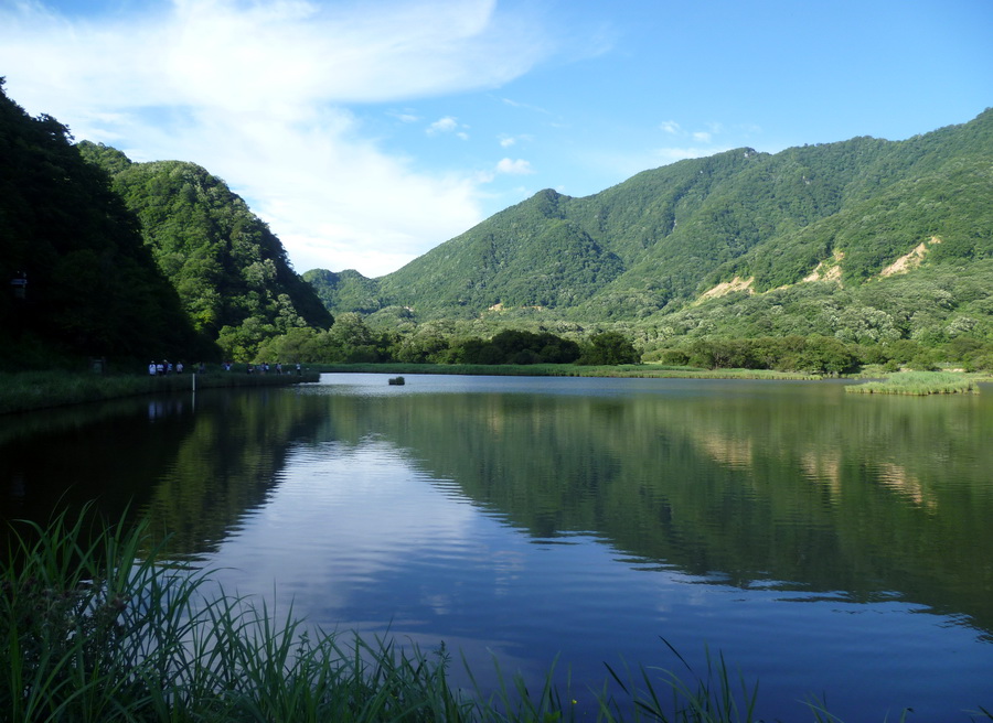 带你欣赏大九湖的美景,大九湖之旅