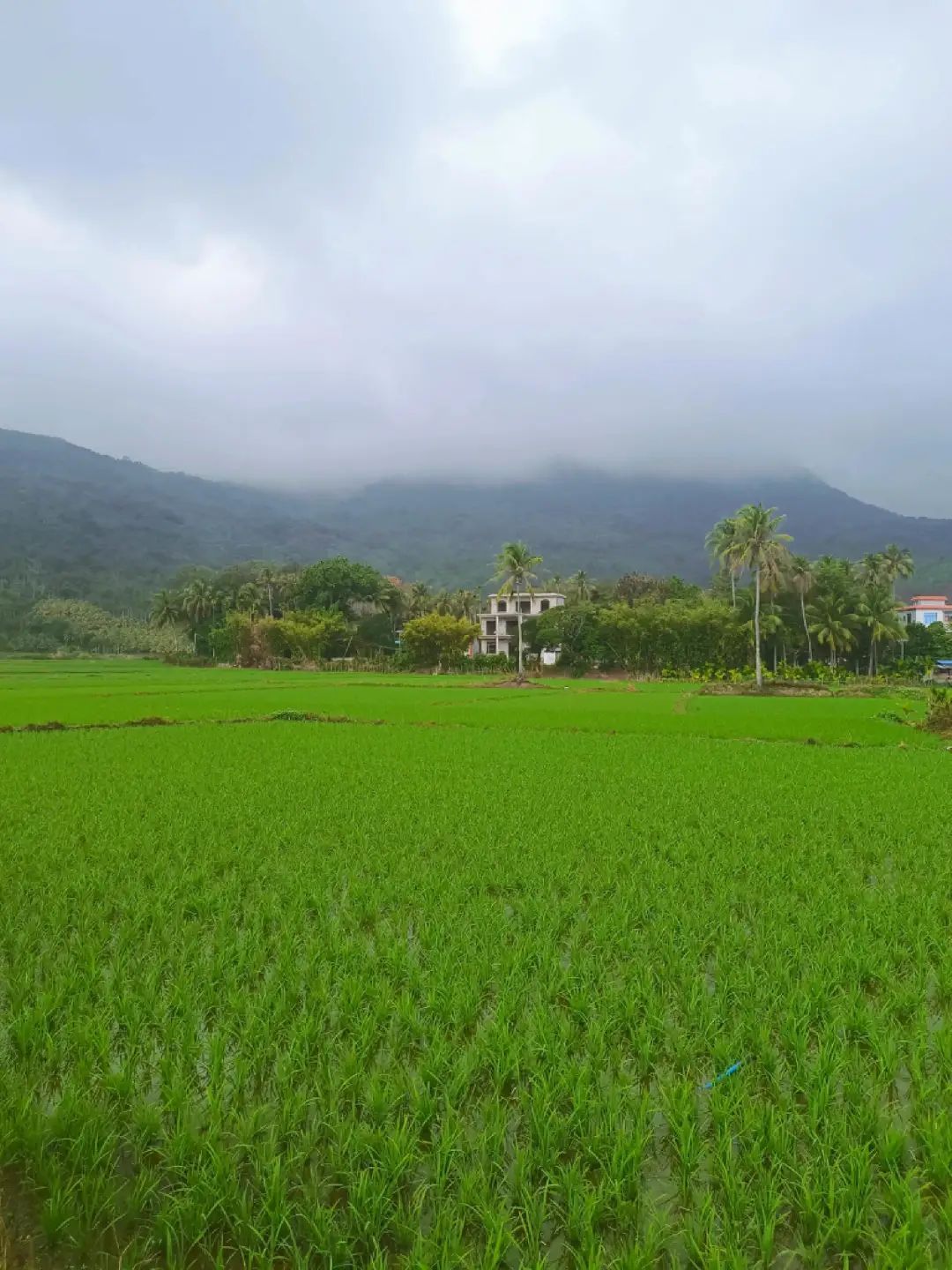 孝感火车站绿皮火车进站实录,绿皮火车实录
