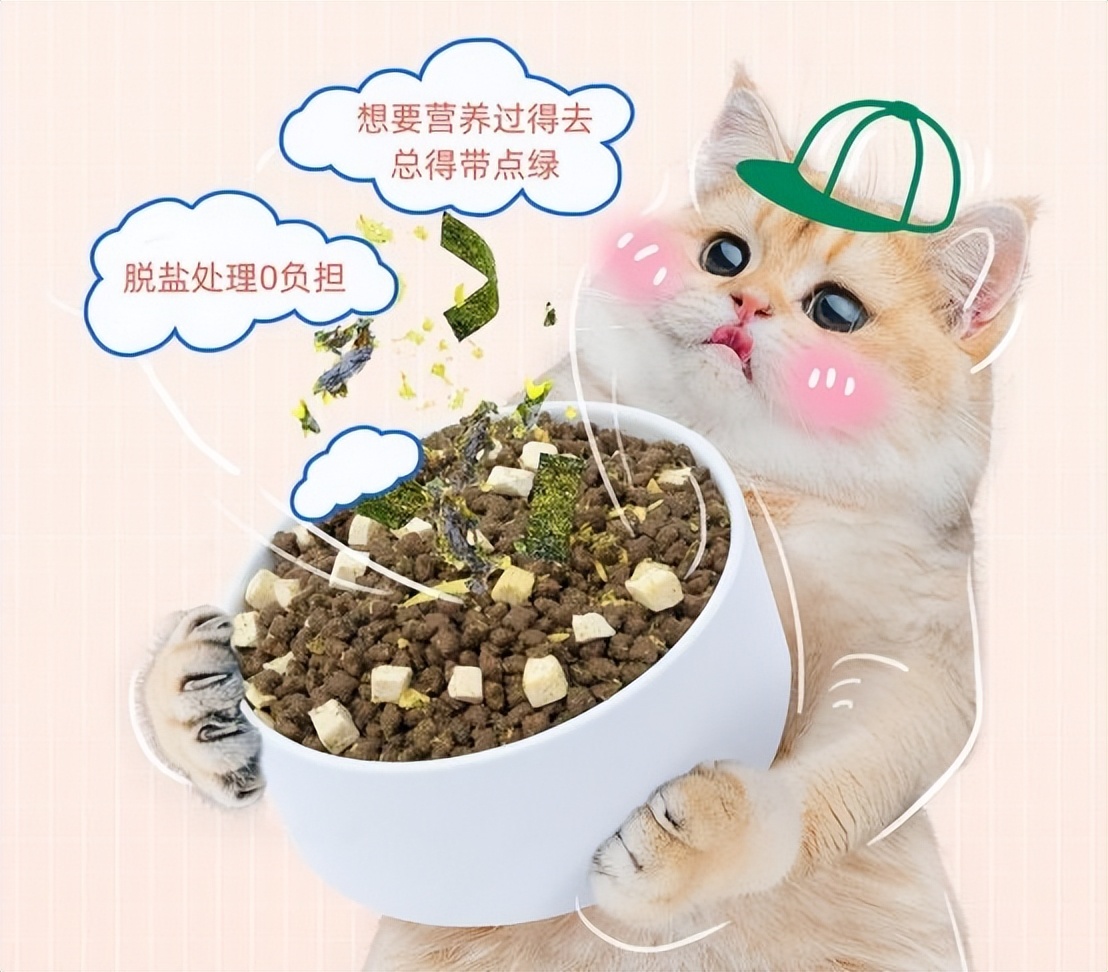 萌宠指南猫咪能经常吃素吗,萌宠指南解说猫咪能不能吃肉