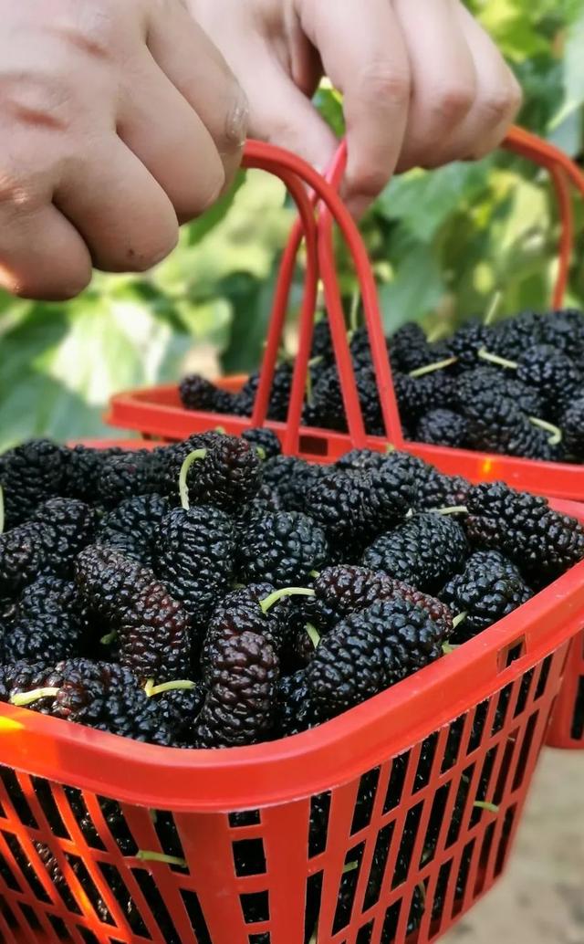 四川内江到云南旅游自驾游路线,重庆四川南充旅游线路攻略