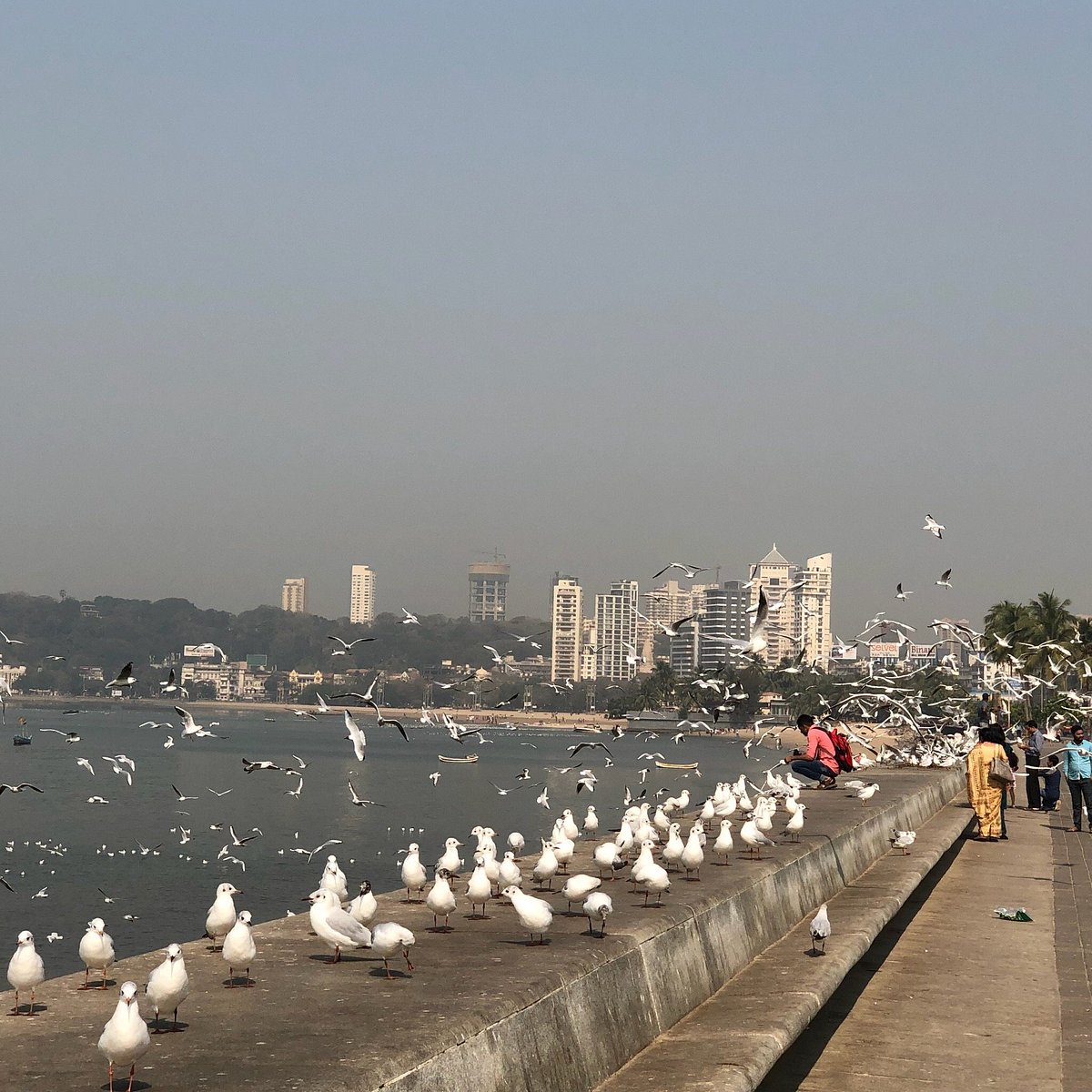 印度现在的孟买,孟买在印度有多繁华