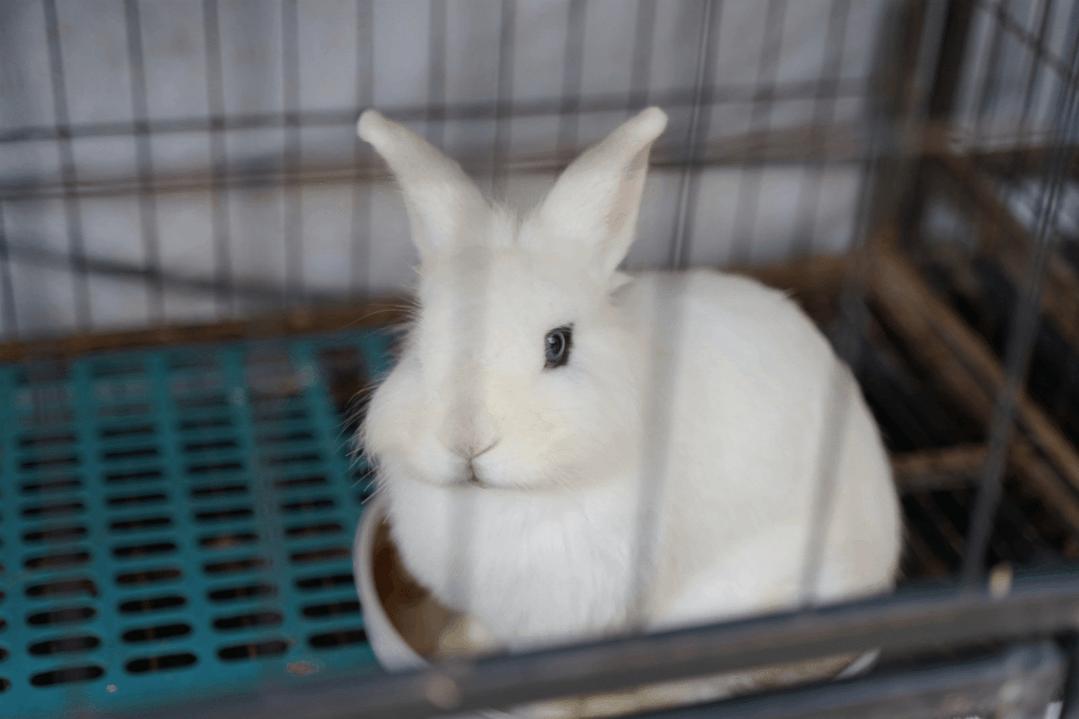 下雨天带小孩可以这样玩,下雨天可以带孩子去哪玩