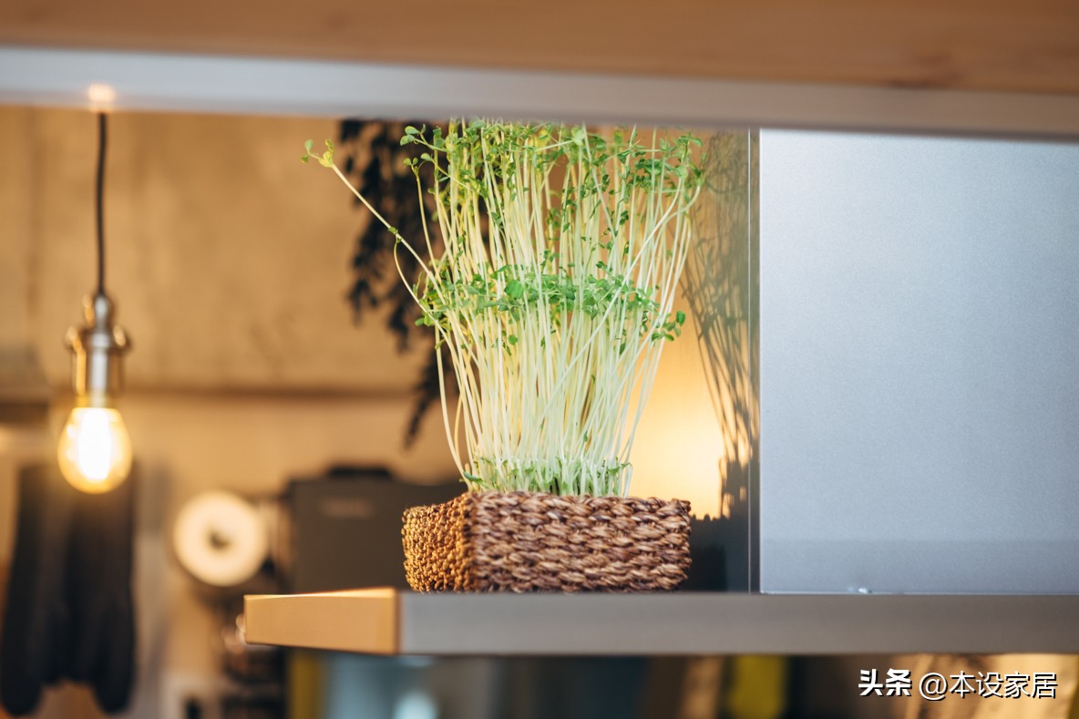 两人住47㎡小家，低欲时代的简朴生活，却过出精致的幸福感，羡慕