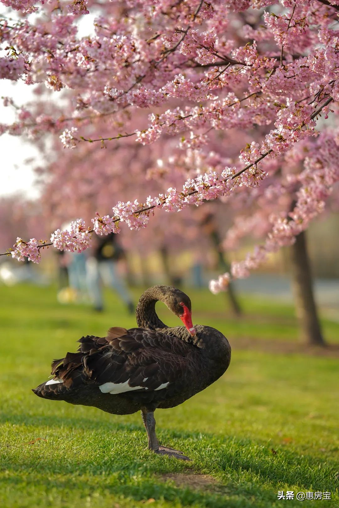 上海公园免费,上海免费公园排行