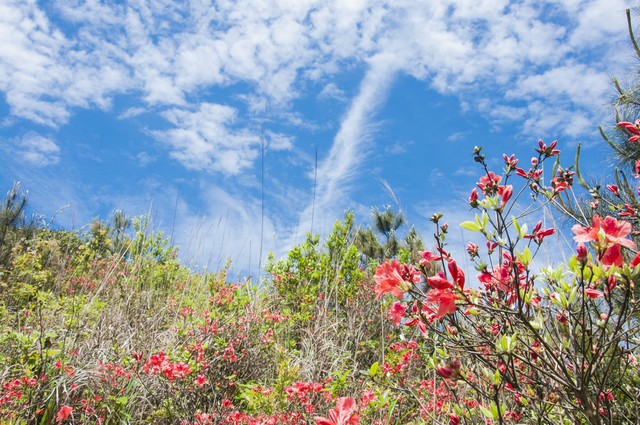 让自己变年轻的12个好习惯,让自己气质变好的方式