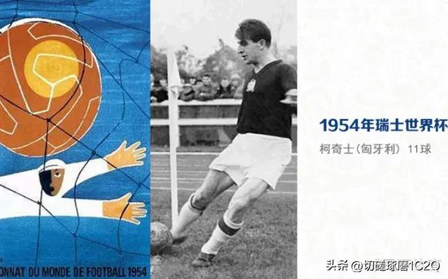 历届男子世界杯单打冠军,历届世界杯女单冠亚军