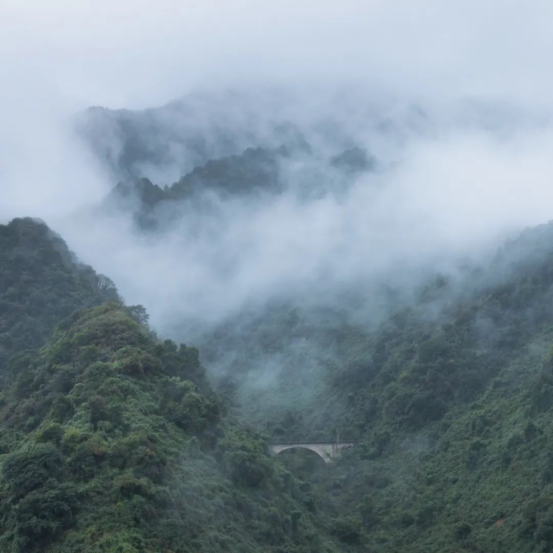 太白山是陕西最高点吗,秦岭最高峰太白山