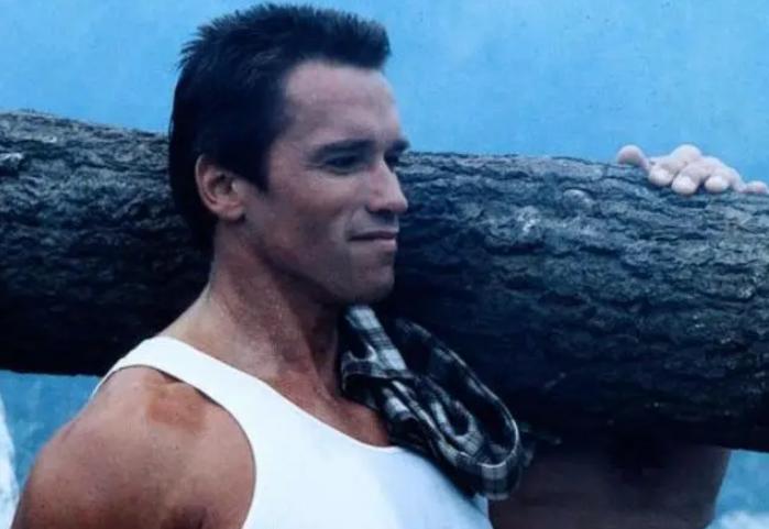 硬汉施瓦辛格原版,施瓦辛格硬汉完整版