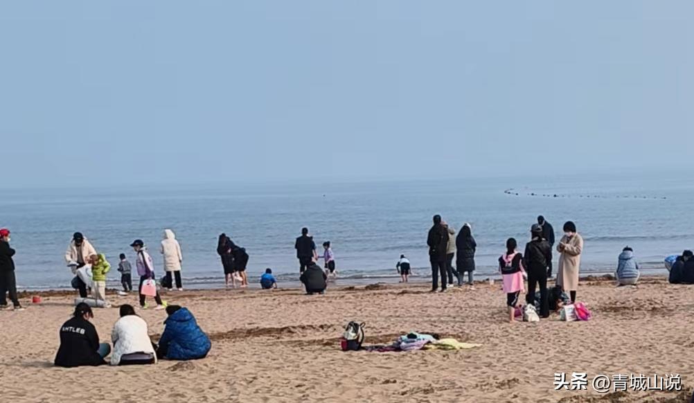 青岛二手房4万二套房,2022青岛二手房成交数量