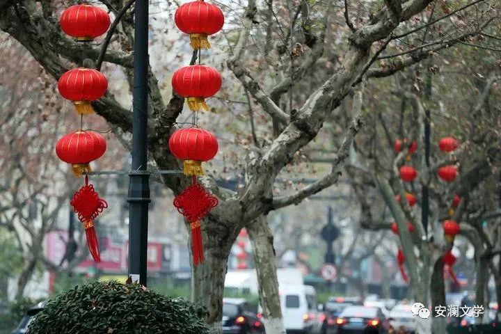 组诗《回家过年》作者阿紫,回家过年征文