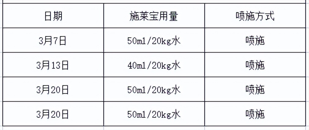 蓝莓大果哪个品种早熟,蓝莓大果新品种