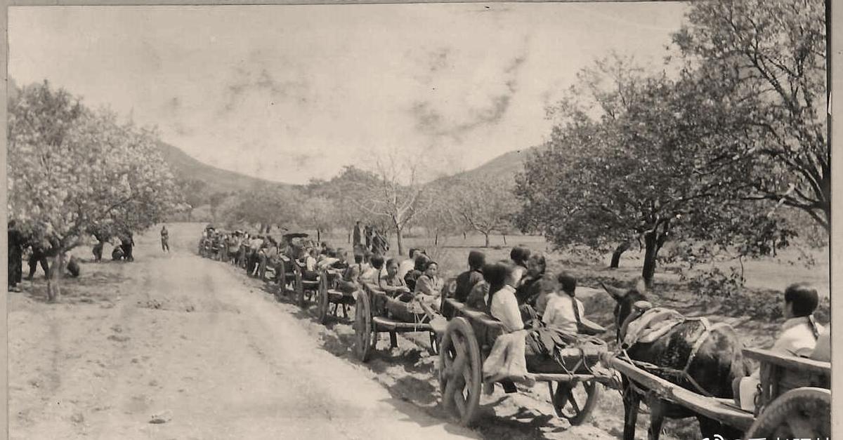 【晚清*楼青**秘史】*楼青**女媚态撩心，丰乳肥臀，风情再现！