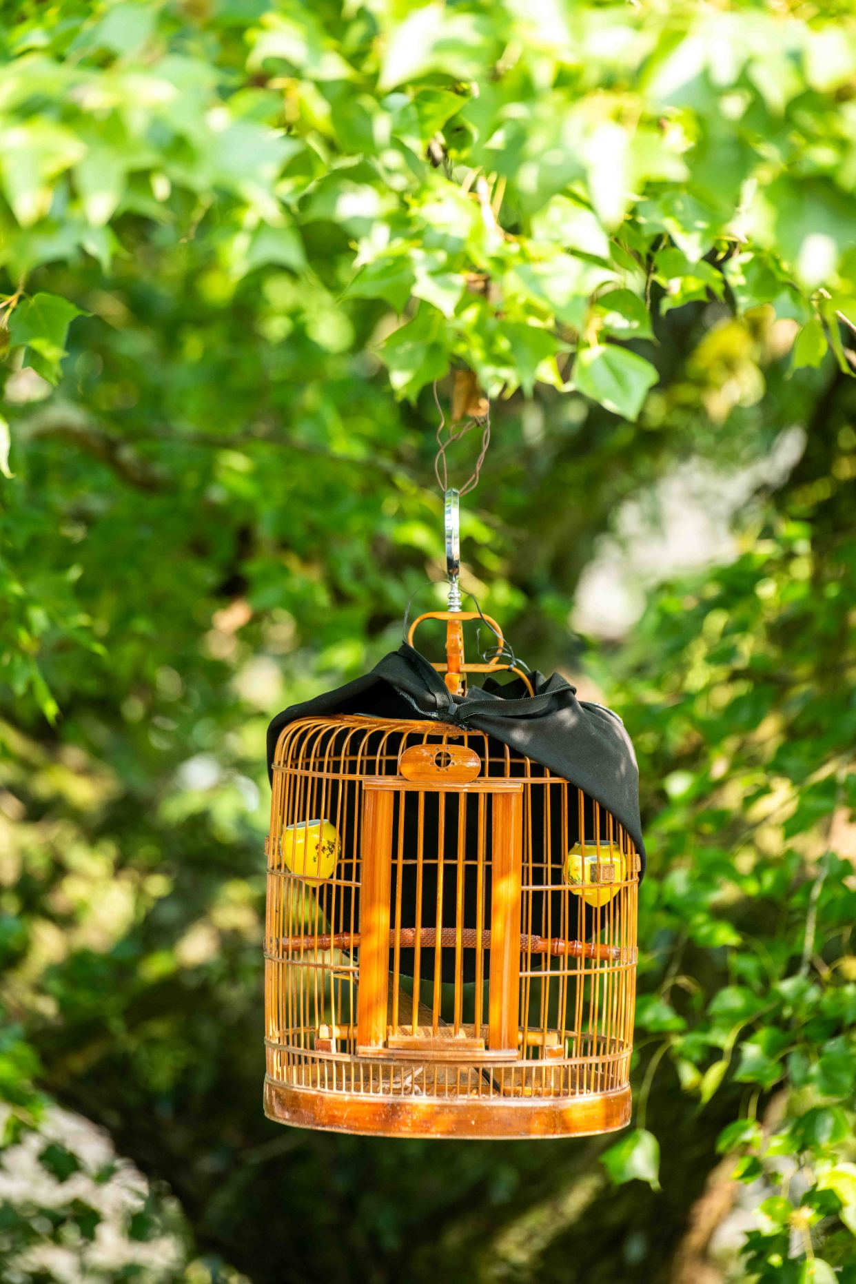 贵州小众侗寨,贵州最好的侗寨在哪里