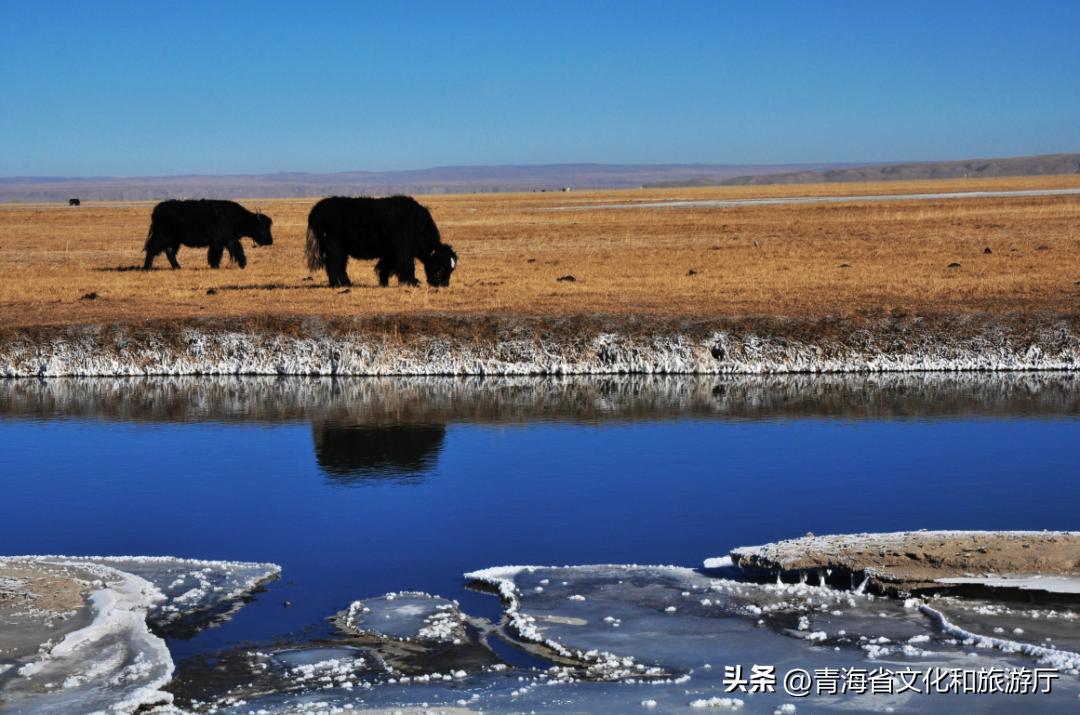 冬日青海的美，只有去过的人才知道