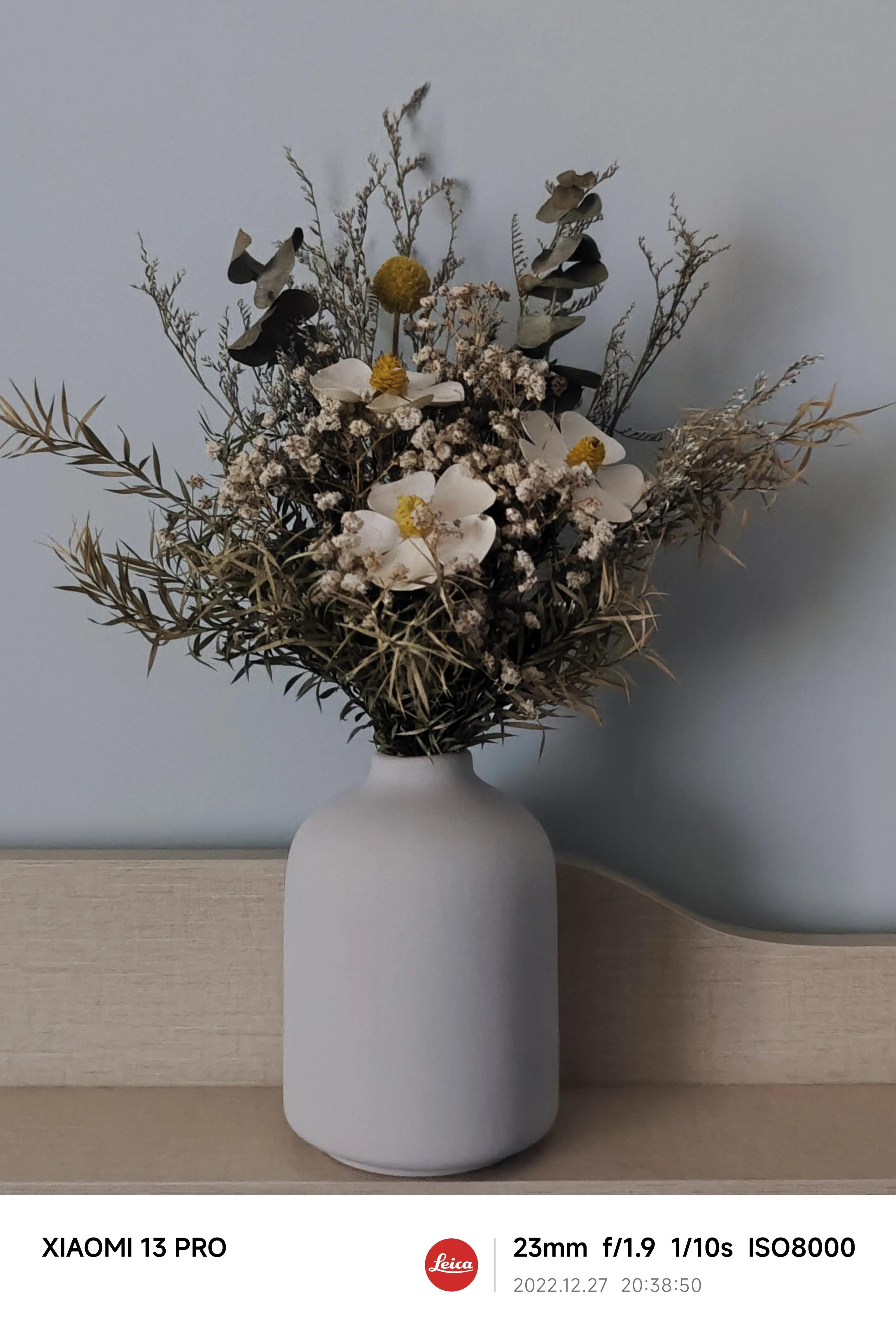 如何发挥小米13pro相机的全部性能,小米13pro拍摄用徕卡哪个好