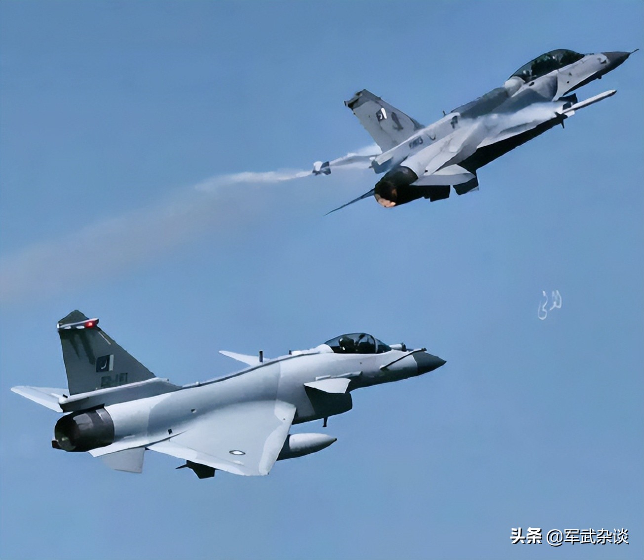 歼10歼20飞豹,歼20歼10飞豹